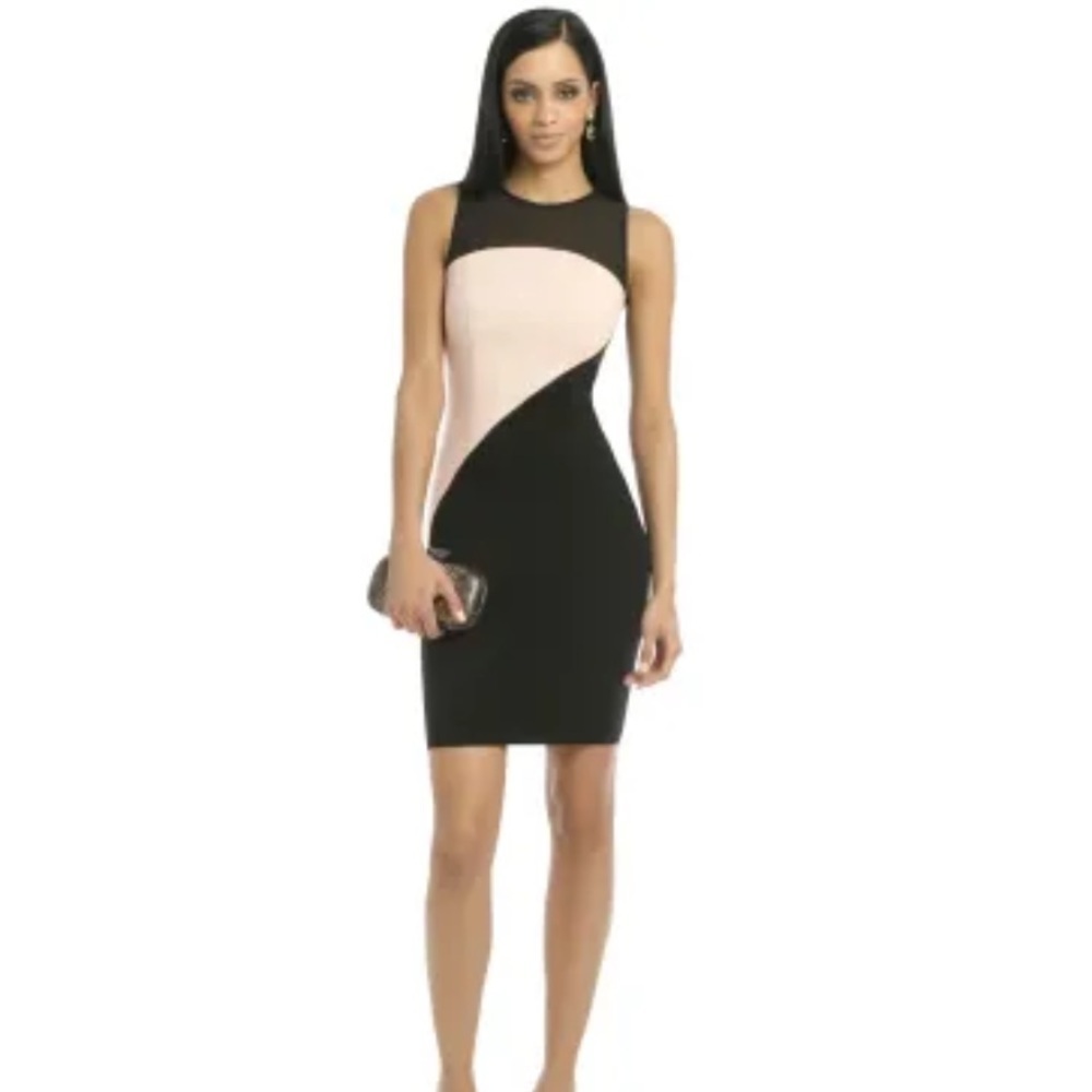 Erin Fetherston Riding The Wave Sheath Dress Size 6